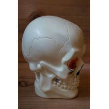 他の写真3: 60ｓ SKULL Right Head