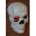 画像5: 60ｓ SKULL Right Head (5)