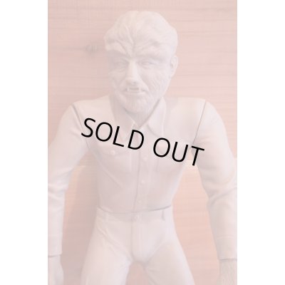 画像3: ツクダ製 ウルフマン ソフビ