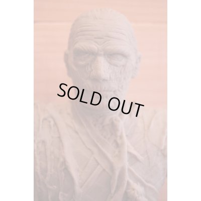 画像6: ツクダ製 ウルフマン ソフビ