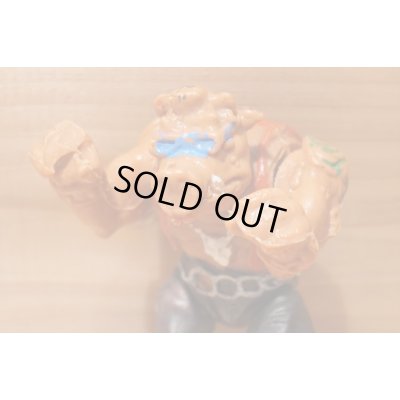 画像6: MEXICAN TURTLES 