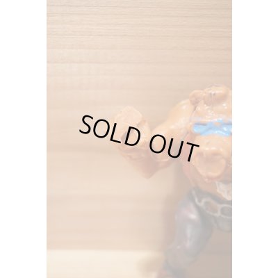 画像3: MEXICAN TURTLES 