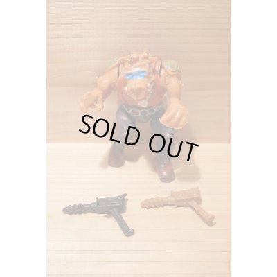 画像4: MEXICAN TURTLES 