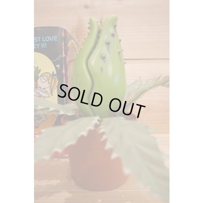 画像4: AUDREY II BANK