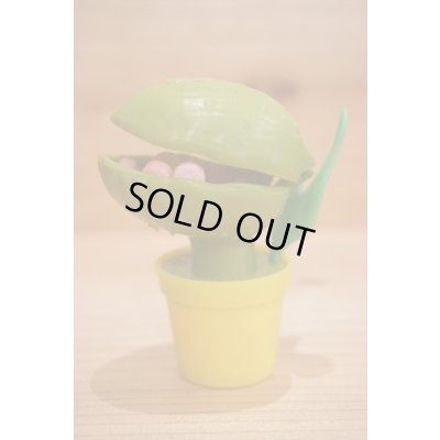 画像4: LSOH キャンディーコンテナー 【C】