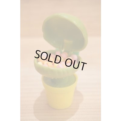 画像8: LSOH キャンディーコンテナー 【C】