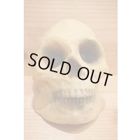 RUBBER SKULL HEAD