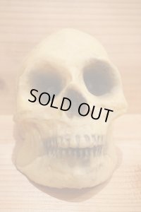 RUBBER SKULL HEAD