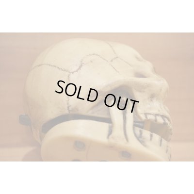 画像6: ソフビ製 笑うドクロ