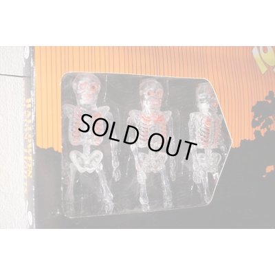 画像5: Skull Halloween Light Set 【D】