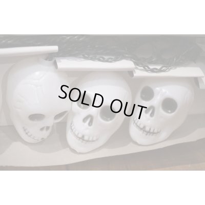 画像5: Skull Halloween Light Set 【C】