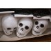 画像5: Skull Halloween Light Set 【C】