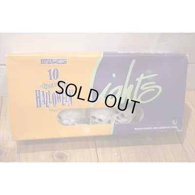 画像3: Skull Halloween Light Set 【B】