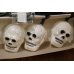 画像5: Skull Halloween Light Set 【B】