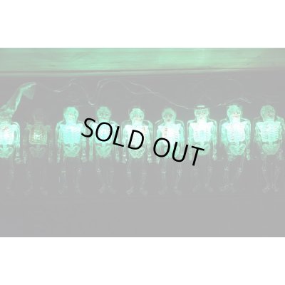 画像11: Skull Halloween Light Set 【D】