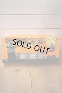 Skull Halloween Light Set 【A】