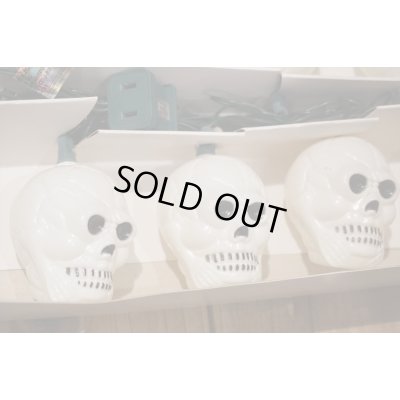 画像5: Skull Halloween Light Set 【A】