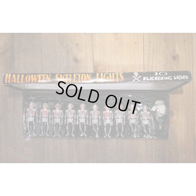 画像8: Skull Halloween Light Set 【D】