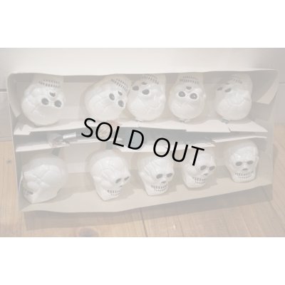 画像4: Skull Halloween Light Set 【A】