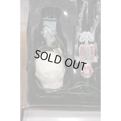 画像4: Skull Halloween Light Set 【D】