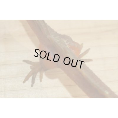 画像6: 70s Rubber Chinese Dragon 