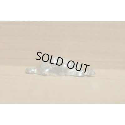 画像6: スカル チャーム 【C】