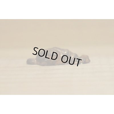 画像6: スカル チャーム 【B】