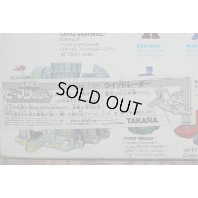 画像6: 国内輸入版 WIND RAIDER 