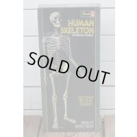 Revell HUMAN SKELETON 