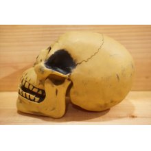 他の写真1: 不明 ソフビ製 SKULL