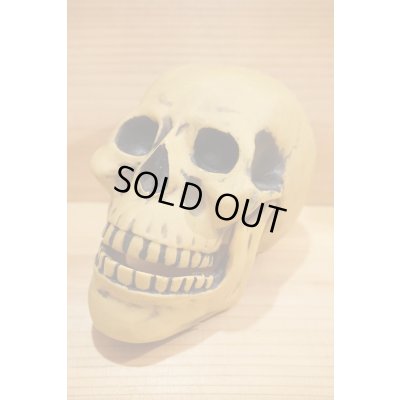 画像4: 不明 ソフビ製 SKULL