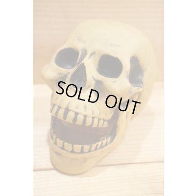 画像5: 不明 ソフビ製 SKULL