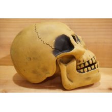 他の写真3: 不明 ソフビ製 SKULL