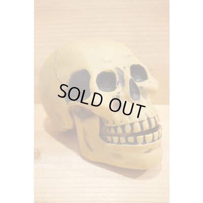 画像6: 不明 ソフビ製 SKULL