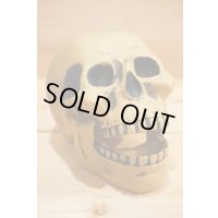 不明 ソフビ製 SKULL