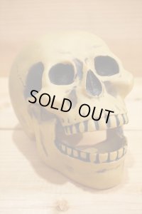 不明 ソフビ製 SKULL