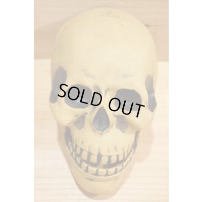 画像3: 不明 ソフビ製 SKULL