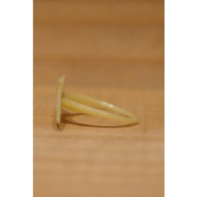 画像4: BATMAN風 トイリング 【A】