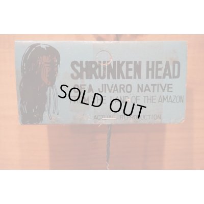 画像7: SHRUNKEN HEAD