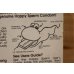 画像6: The Happy Sperm