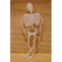 ゴム製 ガイコツ人形