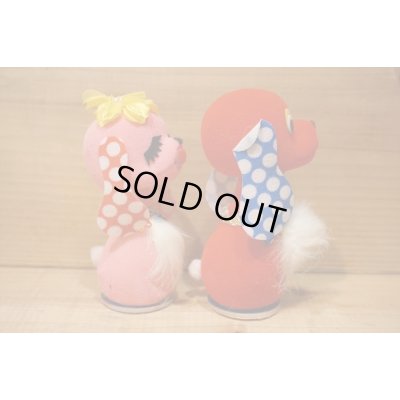 画像6: キスドック / Kiss dog 【C】