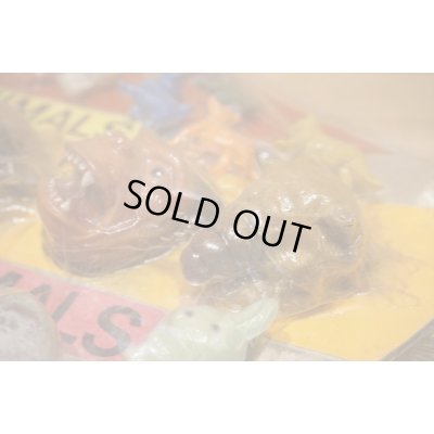 画像7: ANIMALS ガチャ台紙 