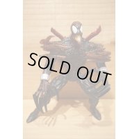 SPIDER-CARNAGE 