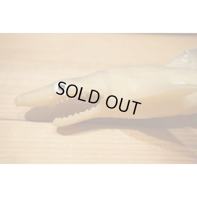 画像6: ゴム製 サメ 【F】