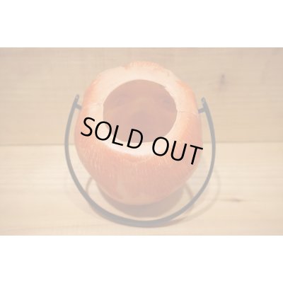 画像6: Shucky 【A】