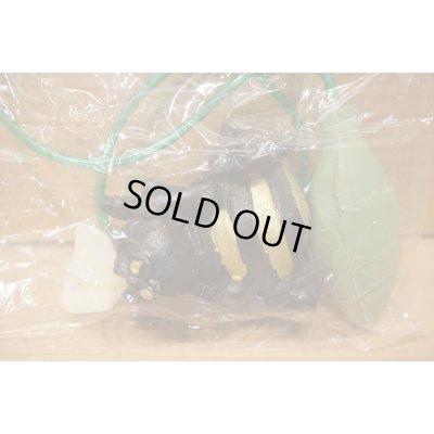 画像3: クモのヌード出し