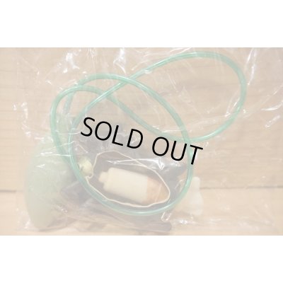 画像4: クモのヌード出し