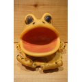 Frog Soap Dish