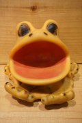 Frog Soap Dish
